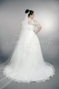 Wedding dress TW0167B - Wedding dress TW0167B A-line plus size XXL organza lace beadings sweetheart with bolero train 3