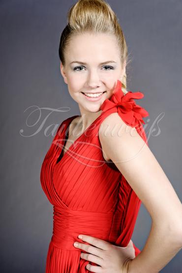 Evening dress TW0031A 2